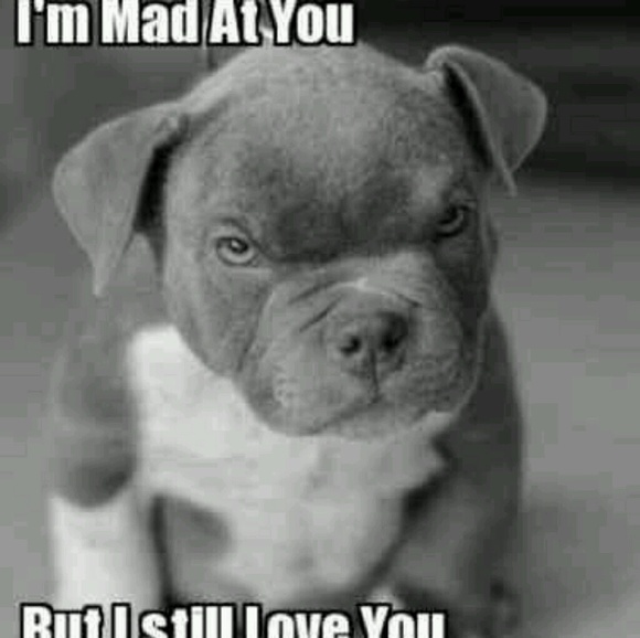 Meet your Posher, Erica - Picture 1 of 1